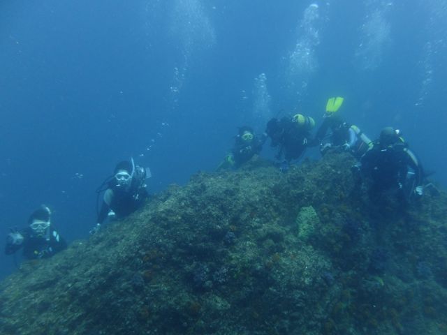 DSCF3154沖の根ダイバー
