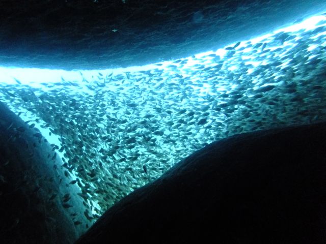 DSCF3484黒崎のトンネル