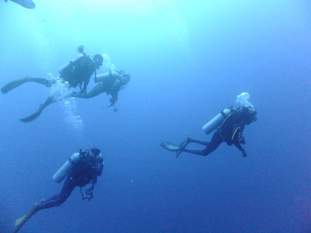 DSCF6177青い海のダイバー