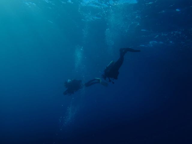 DSCF6676青い海とダイバー