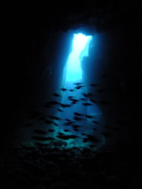 DSCF6852水路下の洞窟