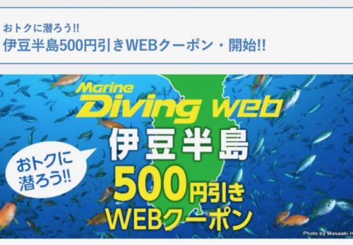 伊豆半島500円引きWebクーポン始めました！