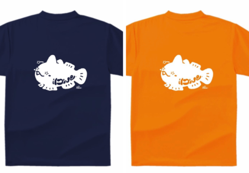 新しいデザインのアイダイブTシャツ、販売開始！【2025年8月2日】